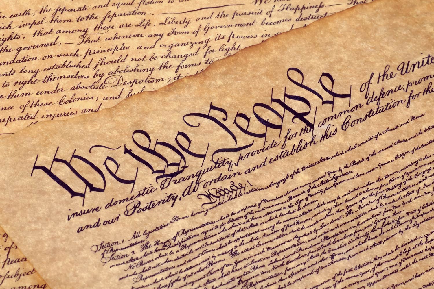 constitutions_header_3-2.jpg