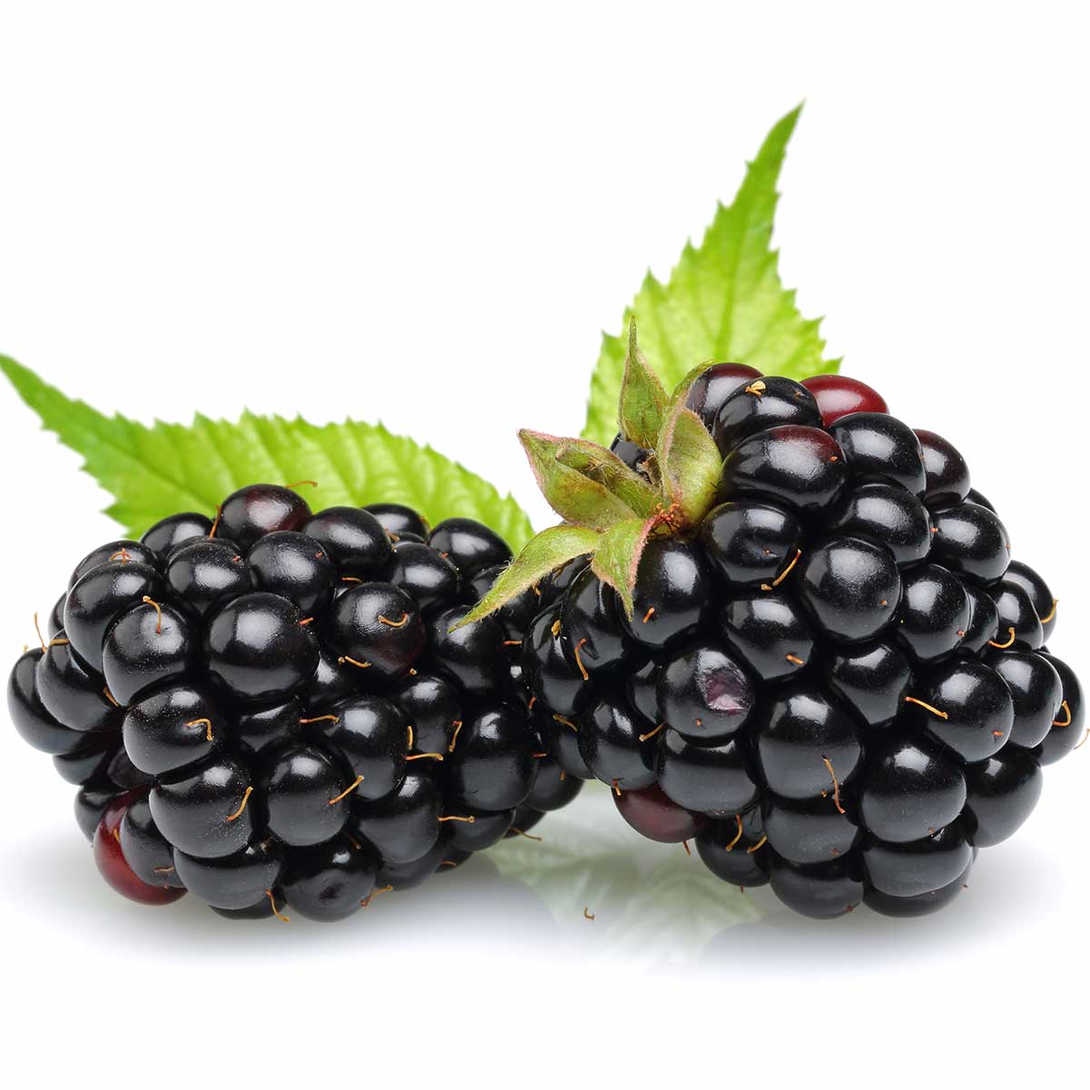 blackberries.jpg