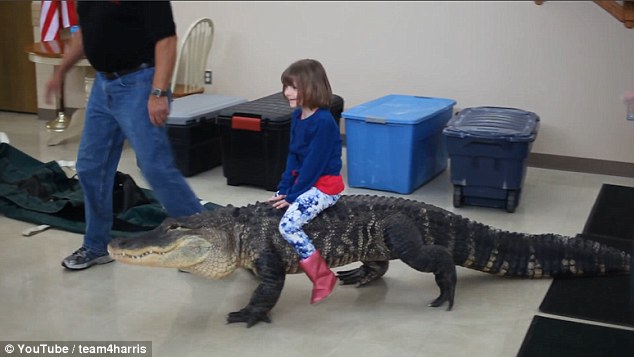 smilling-child-rides-gator-wtf.jpeg