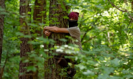 In the middle of a mostly green image of deciduous green leaves, a young person wearing a red bandana covering their head and black mask covering their face holds a tree above the unseen ground with their arms and legs and looks at the camera.