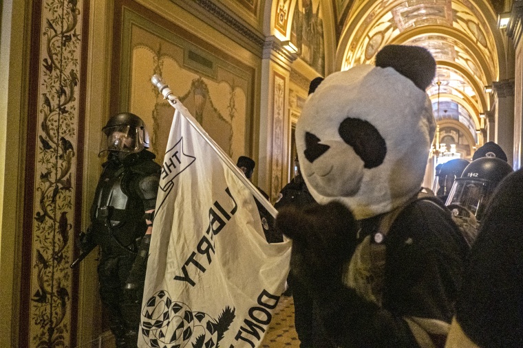 221010-panda-head-capitol-riot-ONETIMEUSE-mn-1520-49cb74.jpg