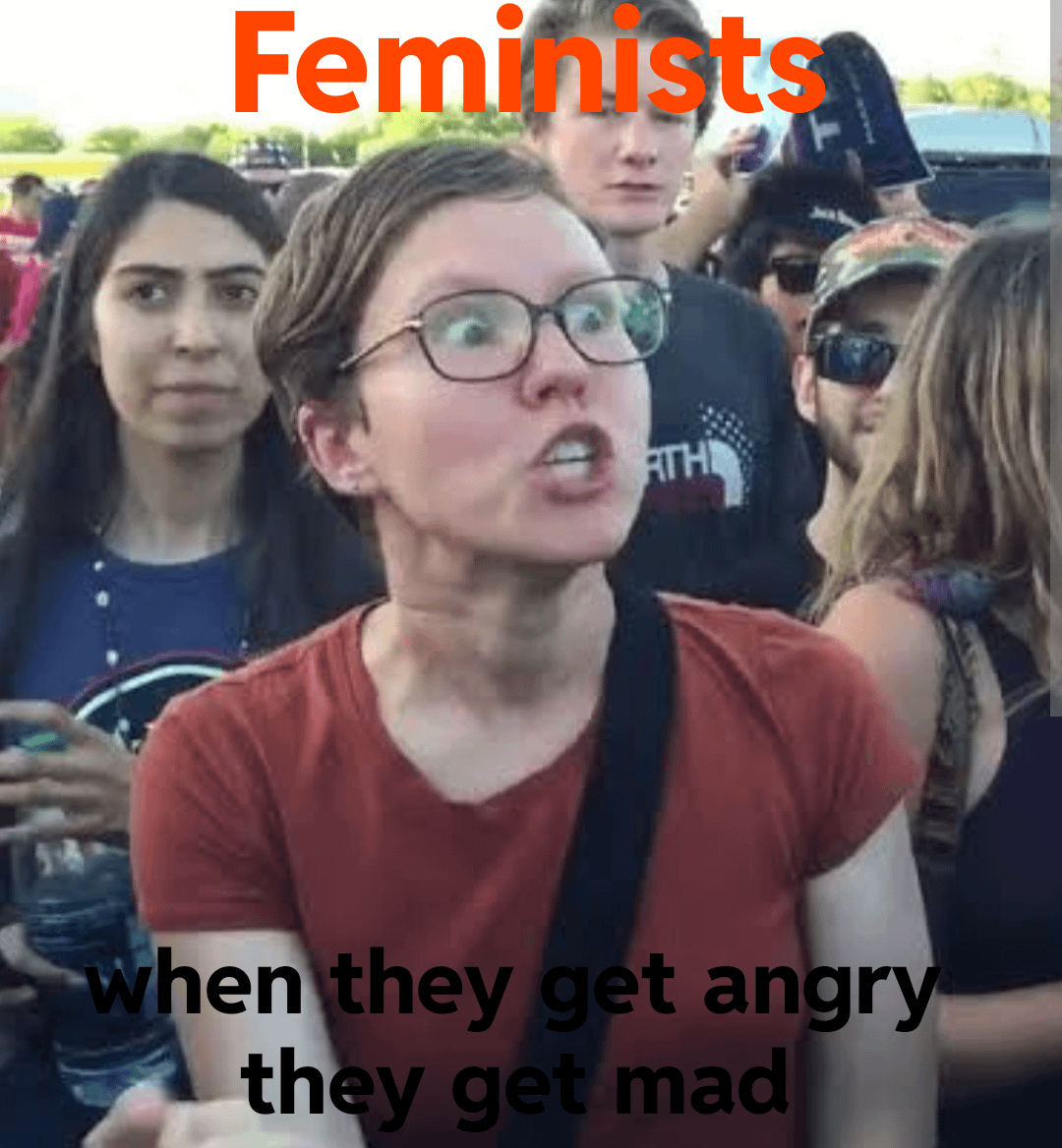 feminist-when-v0-fsmpeu7qvyuc1.png