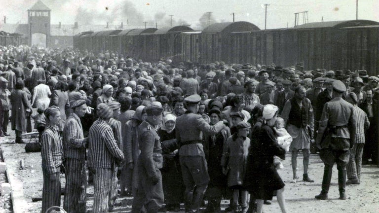 auschwitz-gettyimages-1239836120.jpg