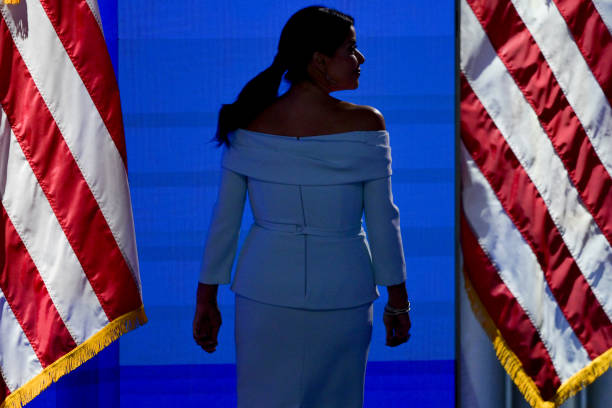 ana-navarro-co-host-of-the-view-during-the-democratic-national-convention-at-the-united.jpg