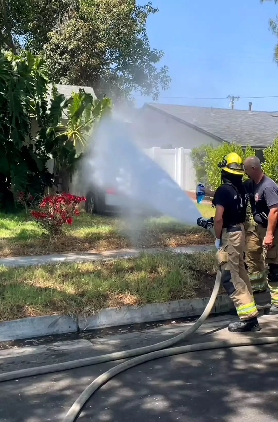 Driver-Crashes-into-California-Home-Is-Taken-to-Hospital-After-Bees-Attack-Him-081324-71cc0ed57ab7437b97e79dd8cbb02f5d.jpg