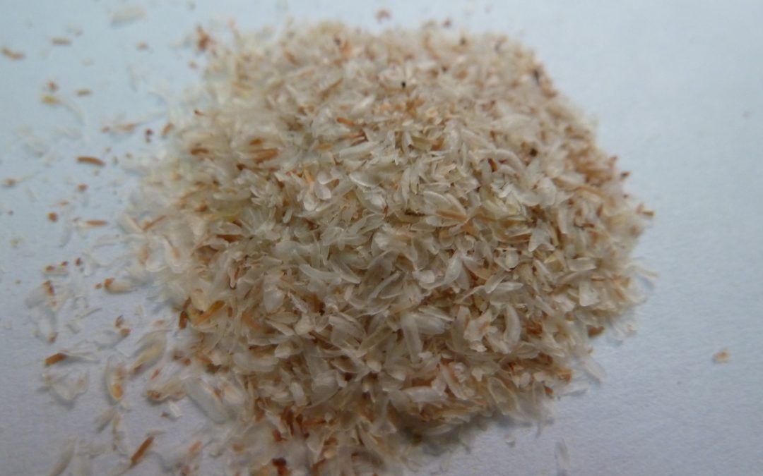 Psyllium_seed_husk_pile-1080x675.jpg