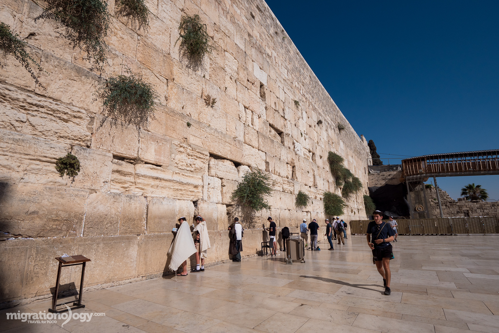 jerusalem-food-tour-34-X3.jpg