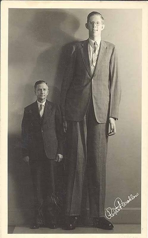 gigantes_robert_wadlow.jpg