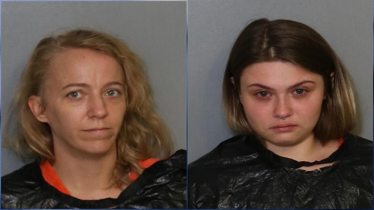 <div>Credit: Osceola County Sheriffs Office</div>