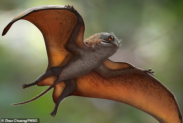 41663258-9462747-Unlike_their_distant_relative_the_pterodactyl_anurogathnids_like-a-20_1618252522985.jpg