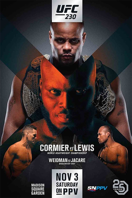 UFC_230_Poster.png