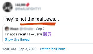 TranslateHate_Web-realjews-InLine-300.png