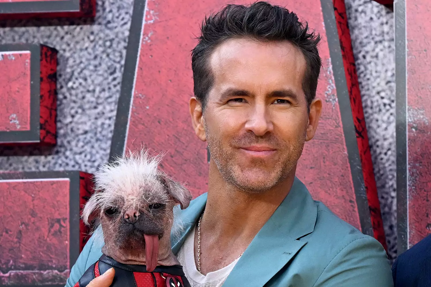 ryan-reynolds-peggy-uk-ugliest-dog-tout-071224-cebb1fd25c2348d7971b79502f1ab605.jpg