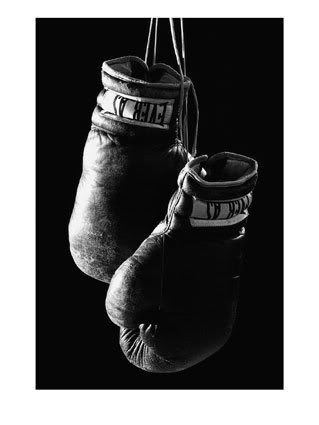 BoxingGlovesC10273046.jpg