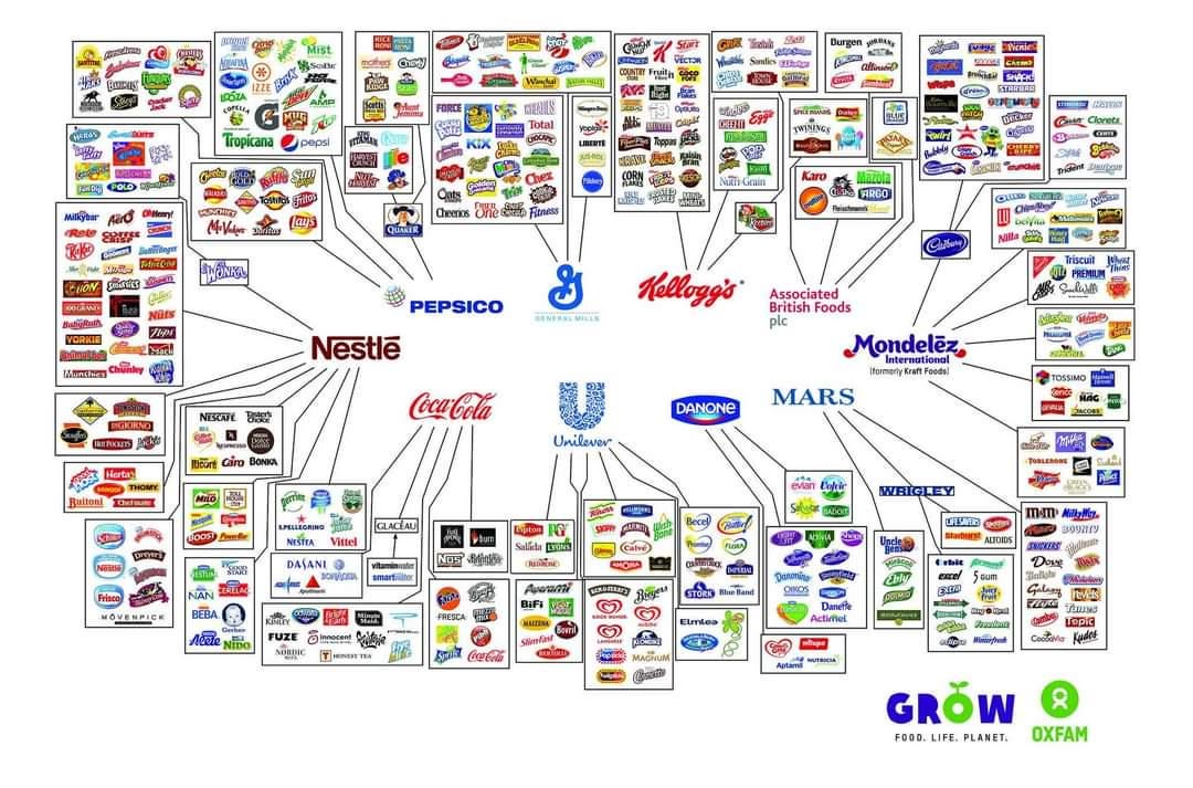 10-companies-own-most-of-the-food-brands-you-see-at-the-v0-frfg6ixbbxbd1.jpeg