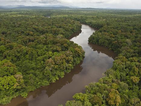 essequibo-river-between-the-orinoco-and-amazon-iwokrama-reserve-guyana_u-l-pfi0rk0.jpg