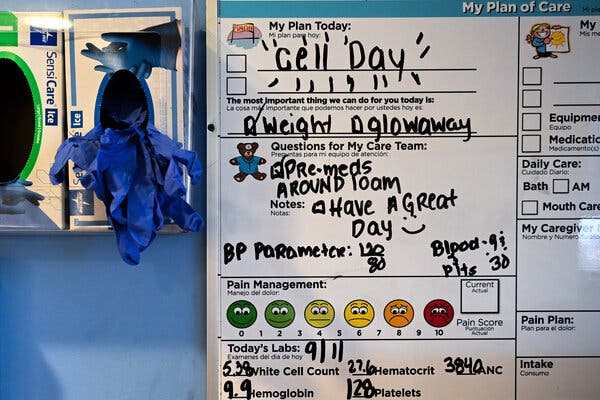 A close-up view of a dry erase board that has written in marker, “Cell Day” with lines of emphasis around it, among other data, notes and cartoons.