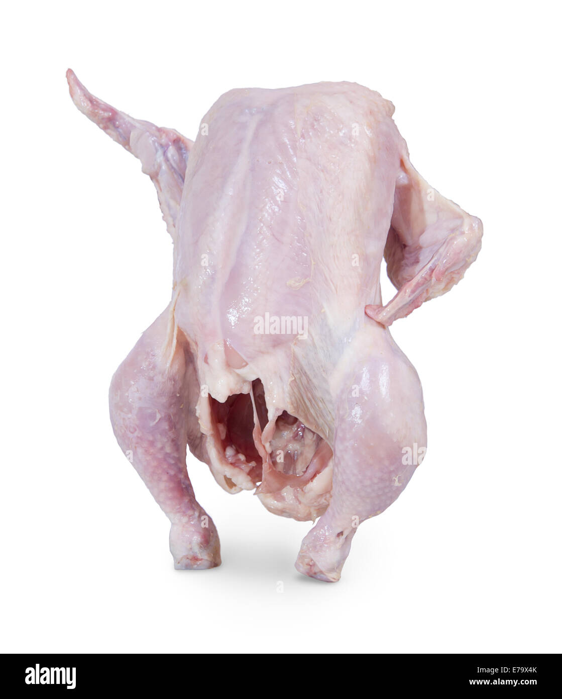 raw-chicken-is-standing-on-a-white-background-and-shows-up-wing-E79X4K.jpg