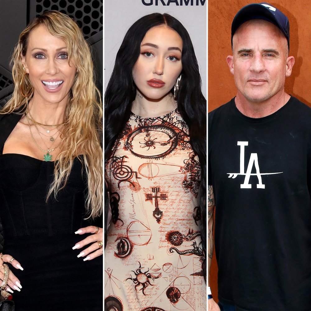 Tish-Cyrus-Is-Spiraling-as-She-Remains-On-the-Outs-With-Daughter-Noah-Over-Dominic-Purcell-Drama-1.jpg