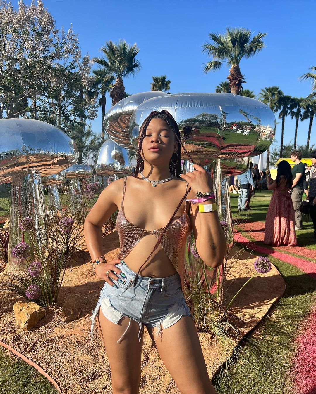 347886886_stormreidnipslip2023coachella9.jpg