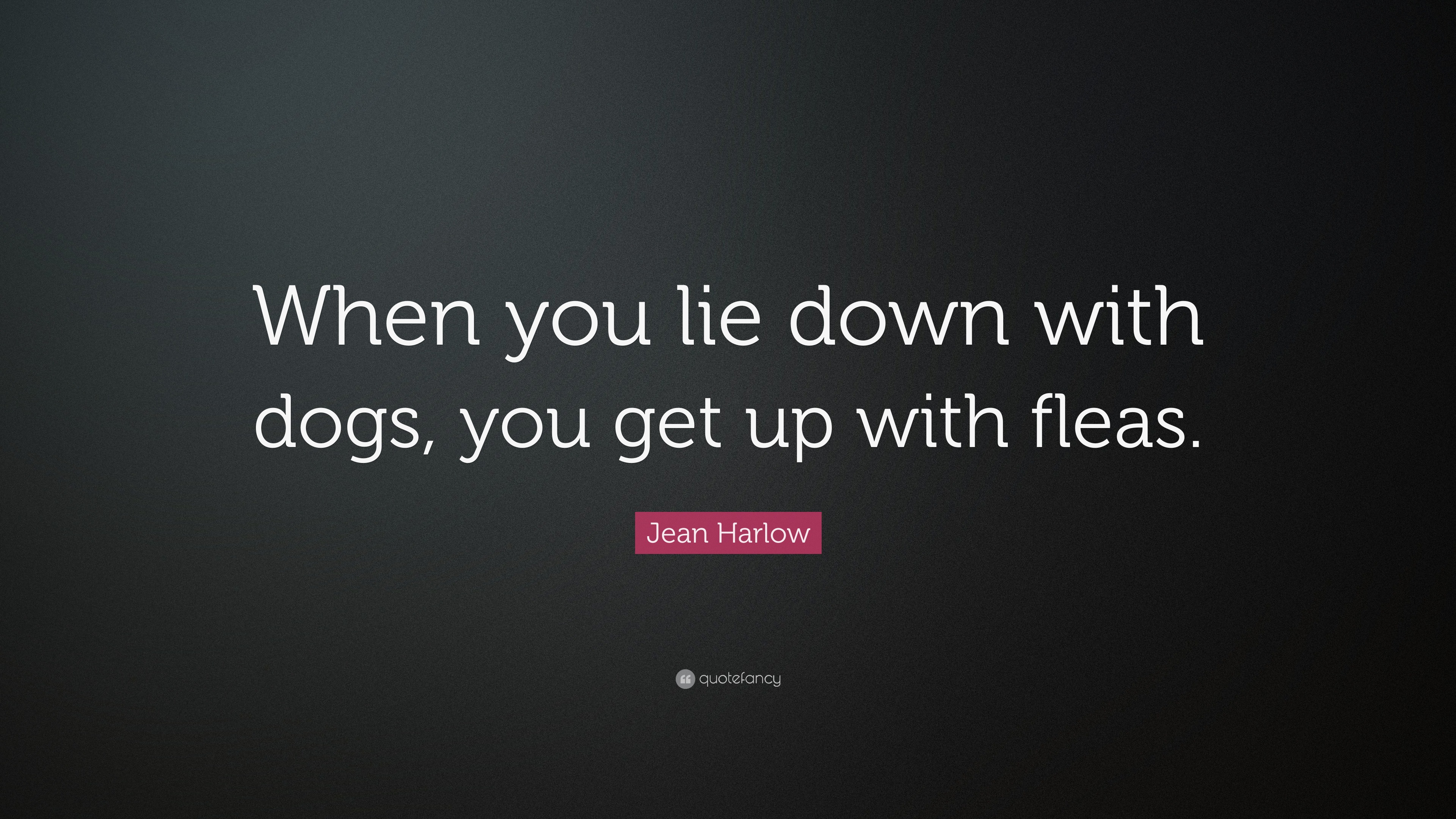 4649253-Jean-Harlow-Quote-When-you-lie-down-with-dogs-you-get-up-with.jpg