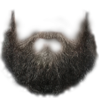 allwantsimgm--beard-png-8.png