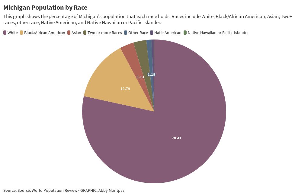 Pie Chart: Michigan Population by Race | Flourish