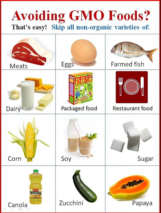 Avoiding-GMO-Foods-540x713.jpg