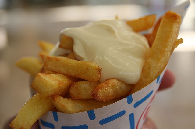 4642a45661d2aebd986d3289b15a2144--french-fries-mayonaise.jpg