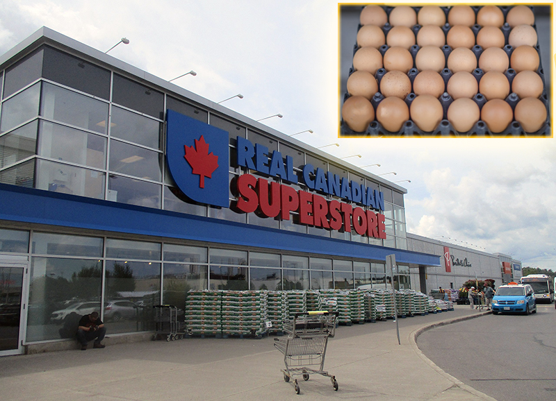 super-store-eggs-800x578-1.jpg