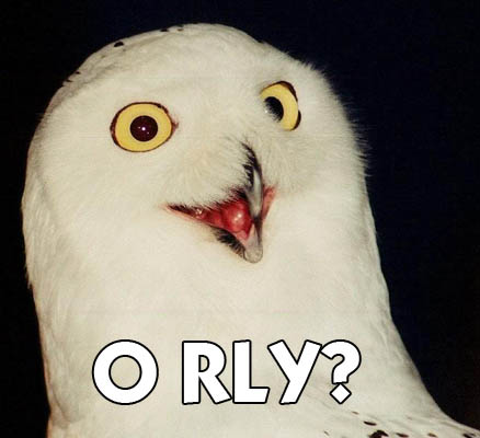 owl_orly.png