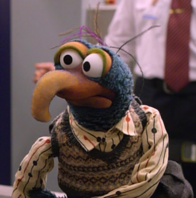 Gonzo-OneEyelid.jpg