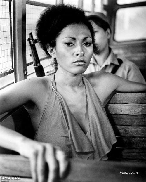 936full-pam-grier_m.jpg