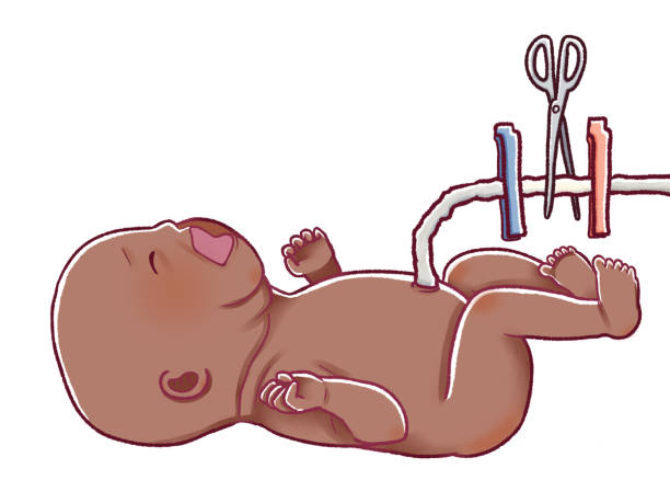 cutting-the-umbilical-cord-of-the-newborn-baby.jpg