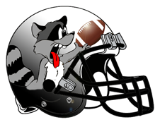 raccoon-fantasy-football-helmet-logo.png