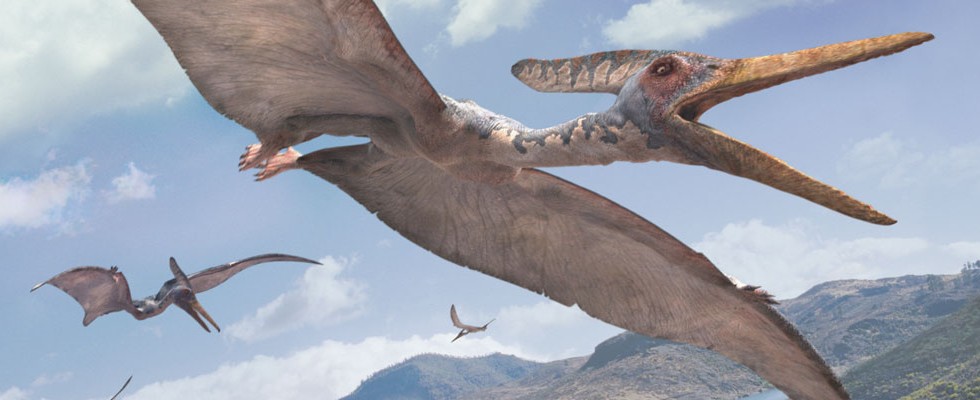 Pteranodon-WWD.jpg