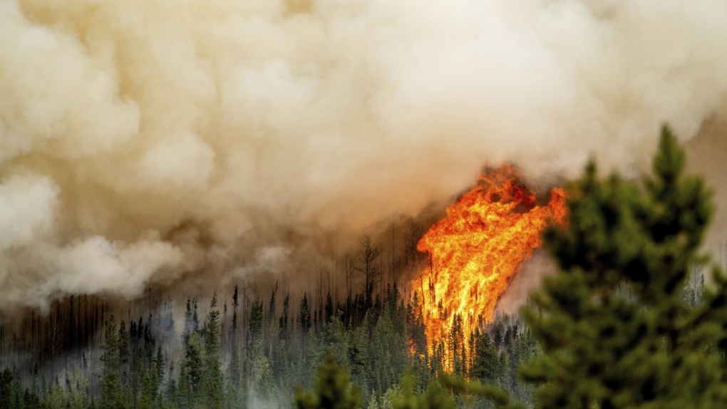 bc.ctvnews.ca