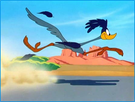 road-runner-1.jpg