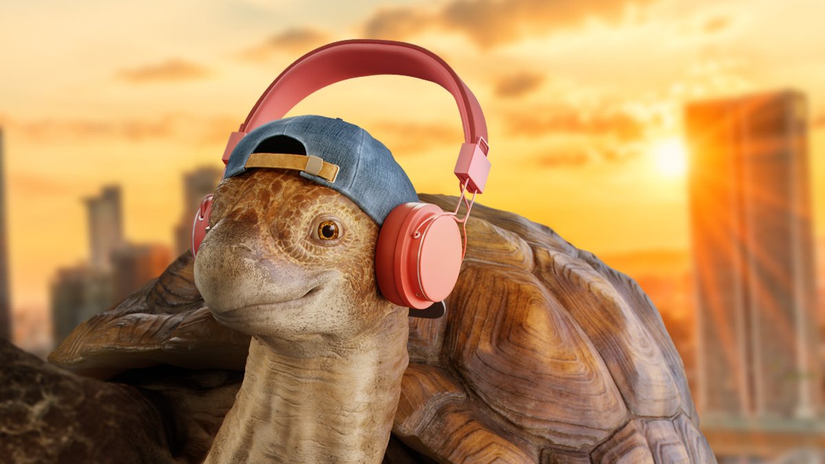 Comcast Brings Back Beloved Turtles That Live Life In The, 49% OFF