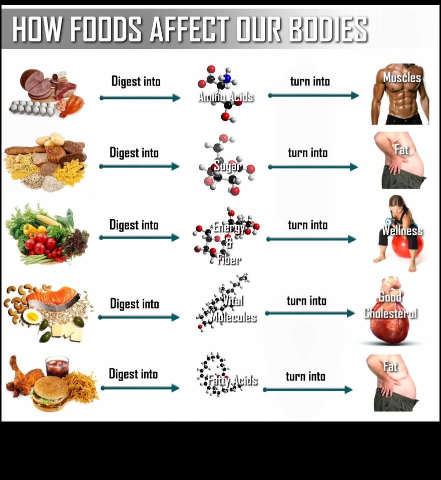 shm-health-tips_how-food-affects-our-body1.jpg