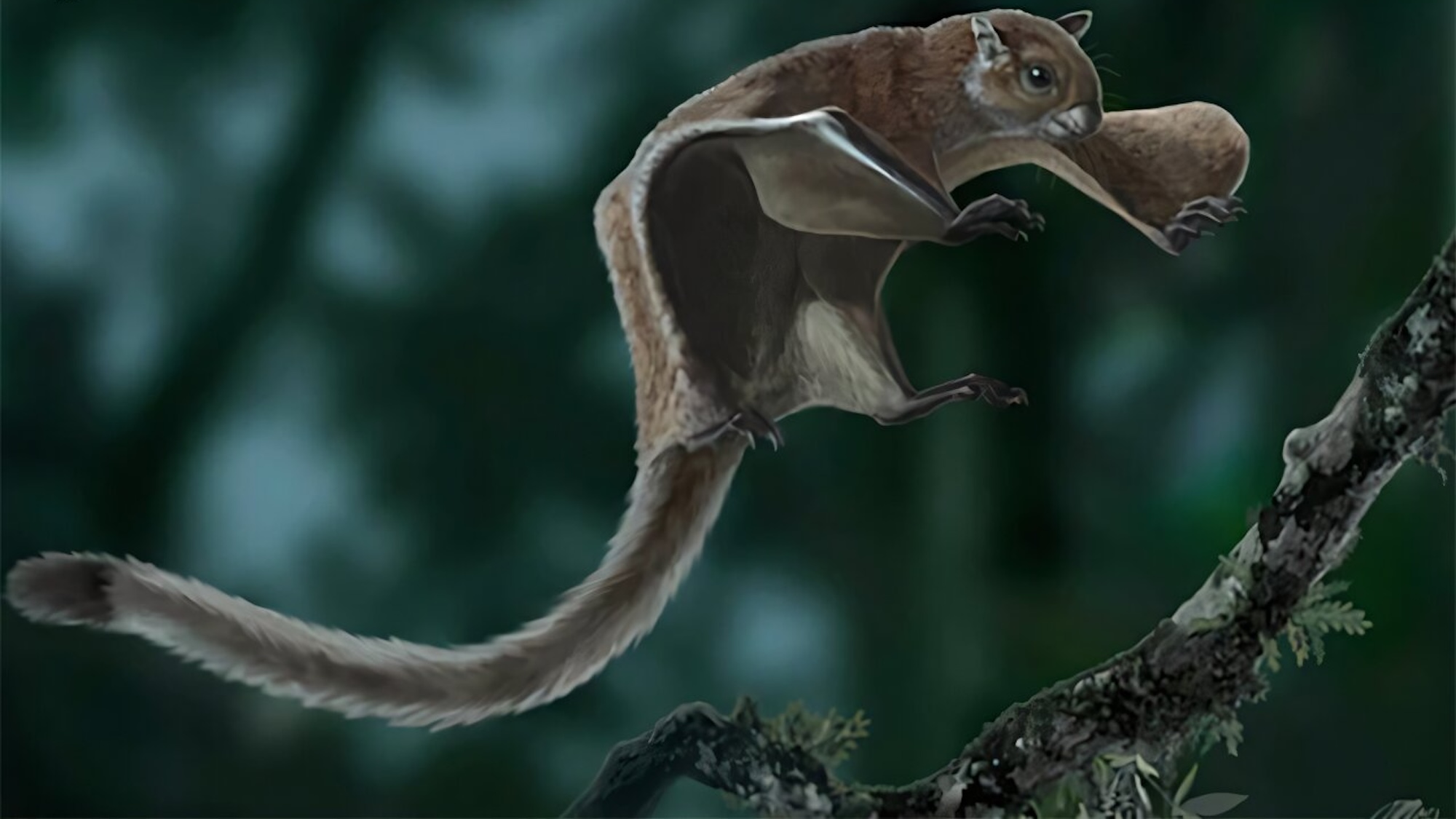 Giant-Flying-Squirrel.jpg