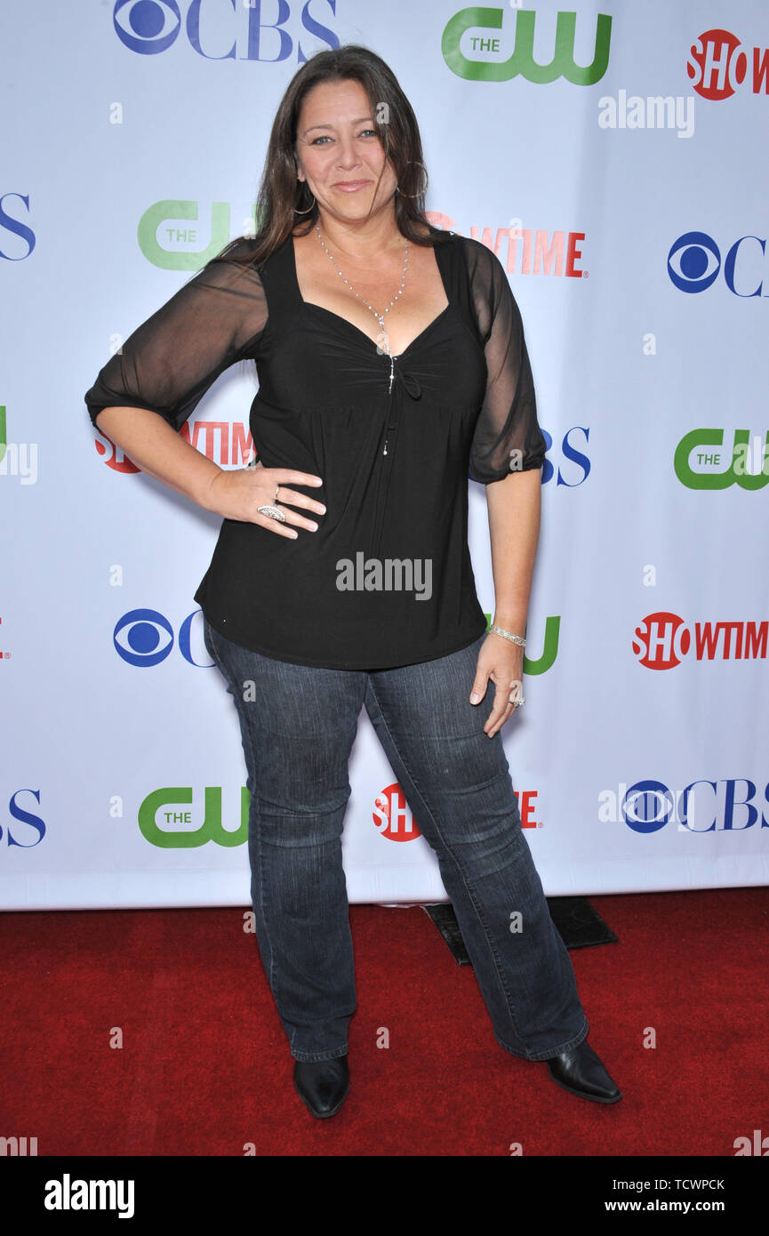 los-angeles-ca-july-19-2008-camryn-manheim-star-of-ghost-whisperer-at-the-cbs-all-star-sumer-tca-party-in-hollywood-2008-paul-smith-featureflash-TCWPCK.jpg