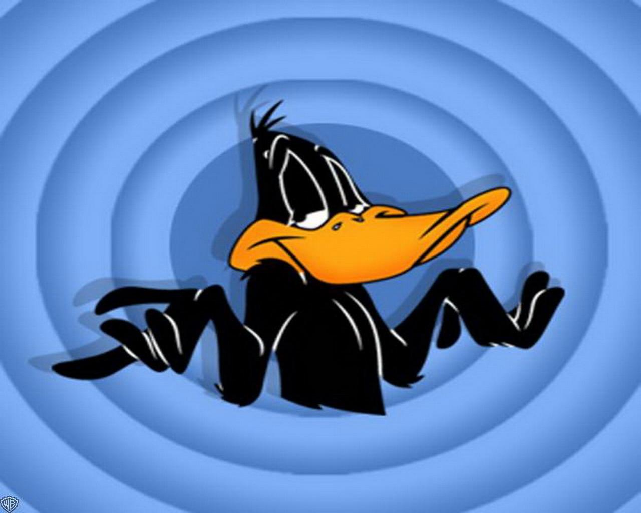 looney-tunes-daffy-duck_1280x1024_7875.jpg