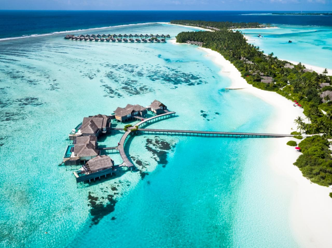 maldives%20niyama%201-xlarge.jpg