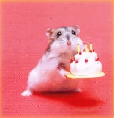 MouseBirthday.jpg