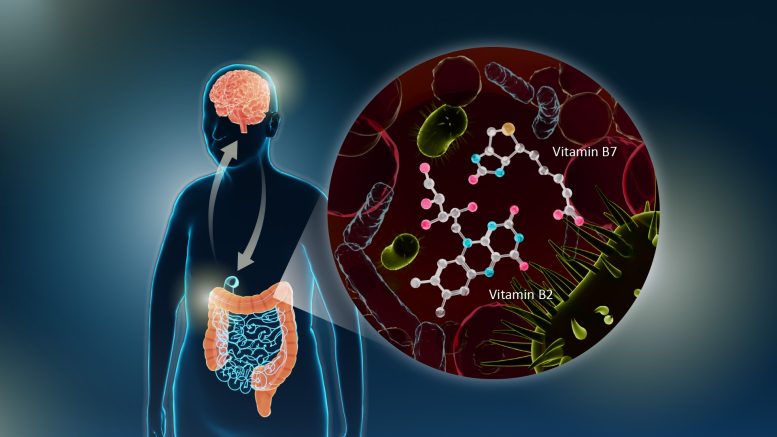 Parkinsons-Disease-Vitamins-B2-and-B7-Graphic-777x437.jpg