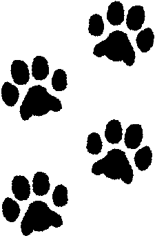 Pawprints.gif