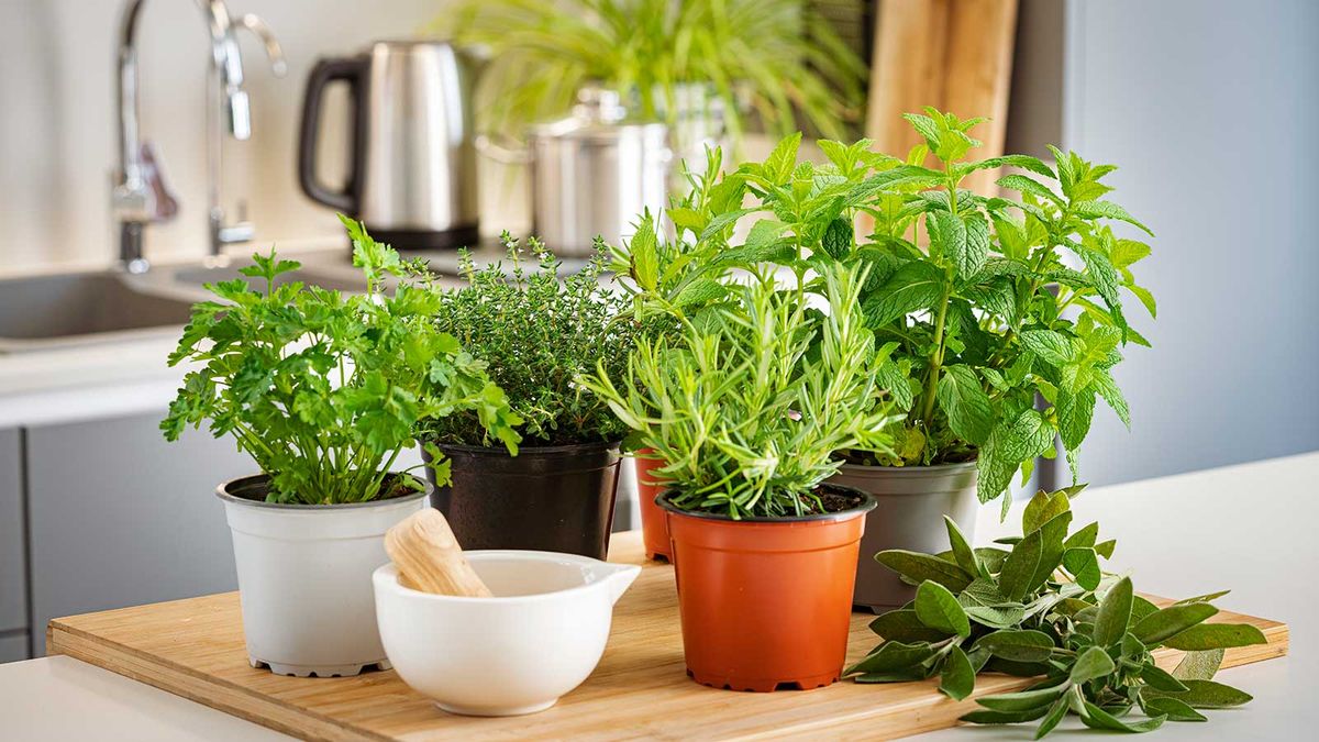 www.homesandgardens.com