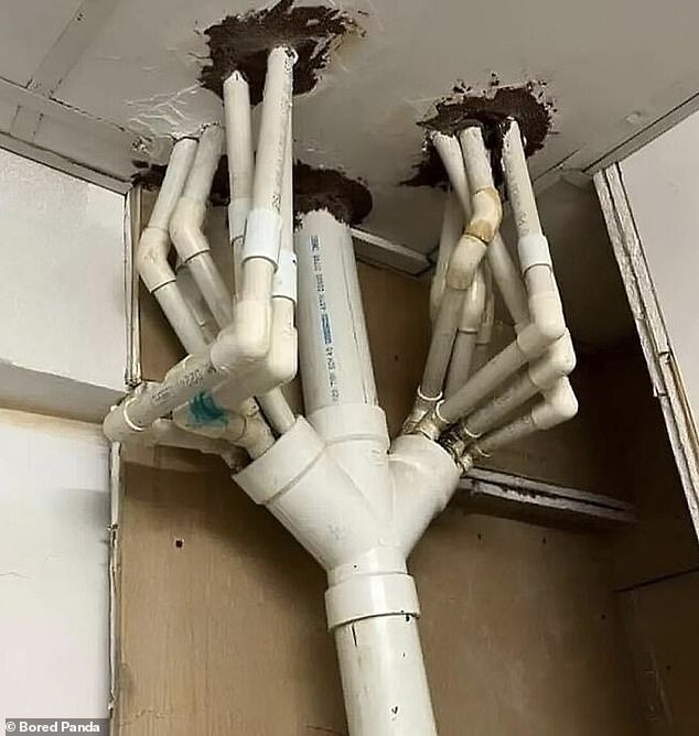 91288081-14002629-Meanwhile_another_novice_decided_to_attempt_some_bathroom_plumbi-a-46_1729871141171.jpg