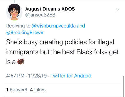 ADOS Attacking Sheila Jackson Lee ADOS Attacking Sheila Jackson Lee